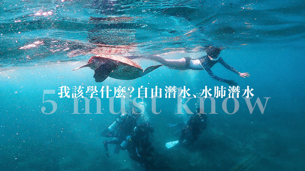 自由潛水、水肺潛水 我該學哪個？五個親身經驗分享。 @Wei笑生活
