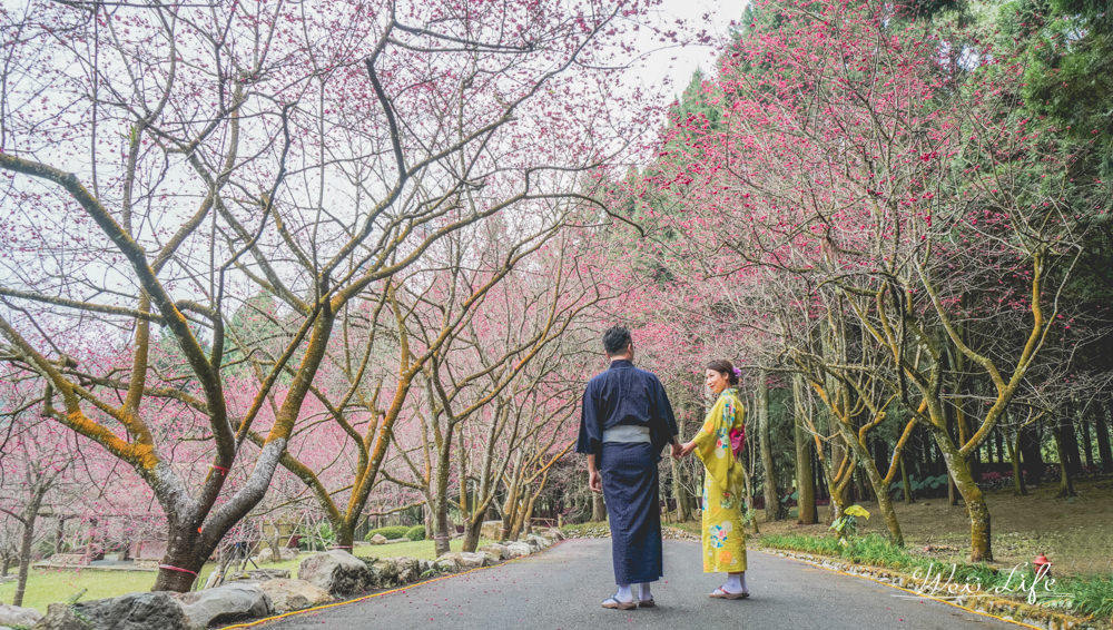 自拍達人教你如何跟櫻花自拍，日月潭拍出唯美浪漫和服櫻花照。