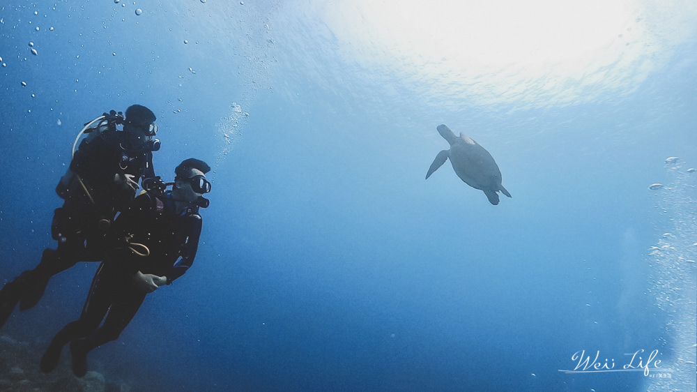 小琉球潛水推薦//人生清單海龜潛水體驗。無執照經驗也可以與海龜共遊