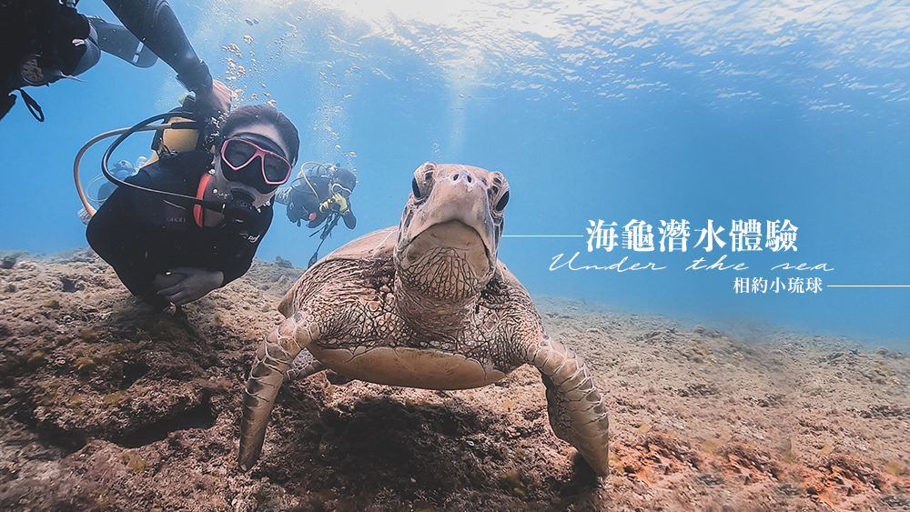 小琉球潛水推薦//人生清單海龜潛水體驗。無執照經驗也可以與海龜共遊 @Wei笑生活