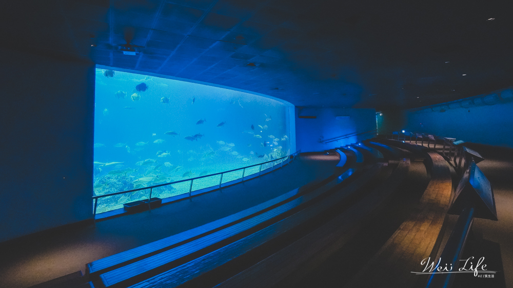 墾丁旅遊///屏東海生館台灣最大海洋生態導覽，海洋隧道走入魚群欣賞海洋之美