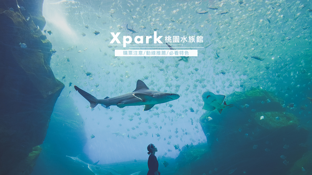桃園Xpark水族館攻略///桃園水族館門票購買方式、Xpark看點、Xpark動線建議、Xpark美照拍攝