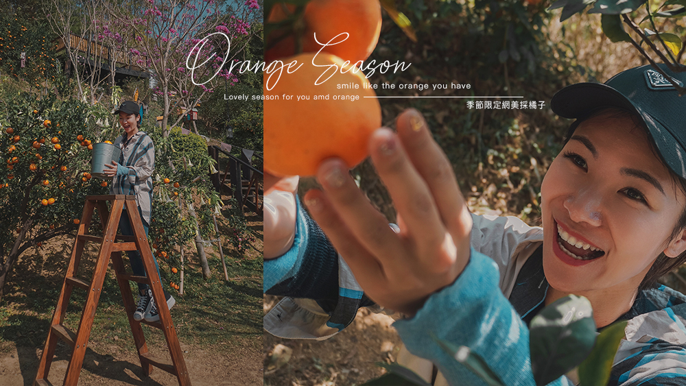 橙香森林採橘子超好拍的苗栗景點季節限定，這裡跟我想像中的橘子園不一樣。一個很好拍but橘子有點難吃的橘子園。 @Wei笑生活