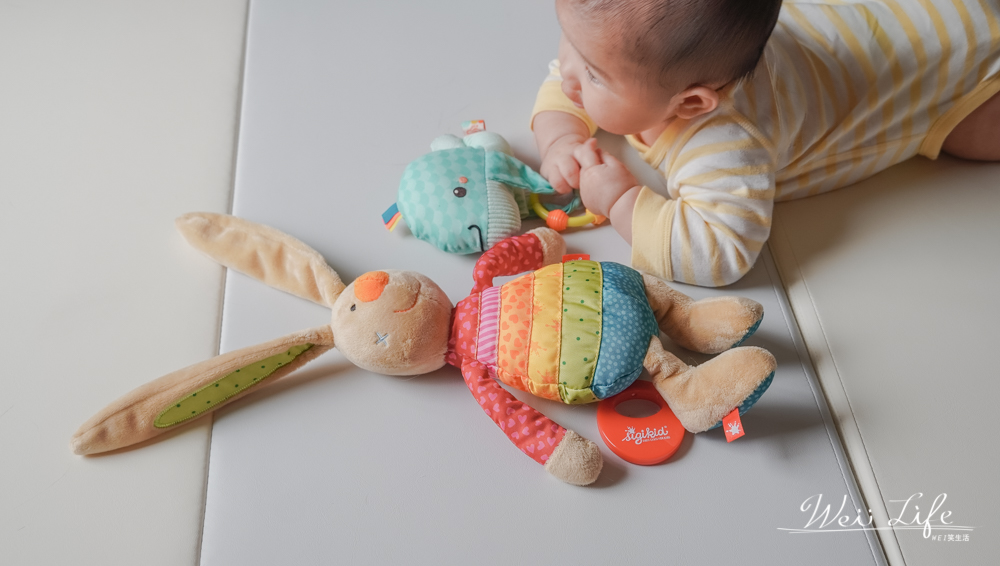 幼兒玩具出租推薦//TOYSUB童益趣比你更暸解寶寶的需要，每個月都給寶寶最棒的玩具體驗