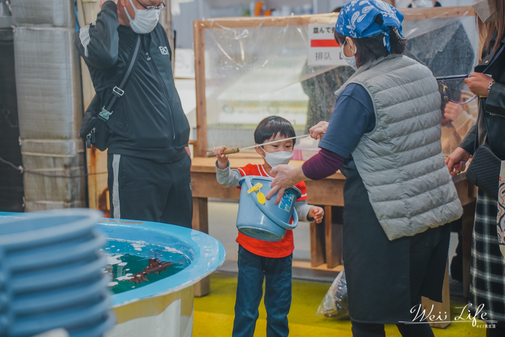 函館朝市釣烏賊//北海道函館好玩活動之一元祖釣活烏賊慶典，大人小孩都可釣最新鮮的烏賊自己來。