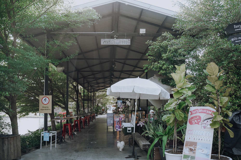 泰國景點//Dubua Cafe曼谷近郊網美咖啡店推薦，可愛小動物休閒農場、美味餐點飲品、免費設施